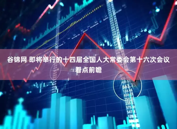 谷锦网 即将举行的十四届全国人大常委会第十六次会议看点前瞻