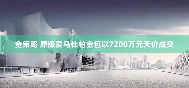 金策略 原版爱马仕柏金包以7200万元天价成交
