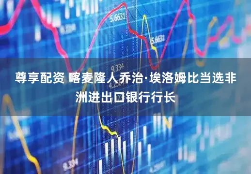 尊享配资 喀麦隆人乔治·埃洛姆比当选非洲进出口银行行长