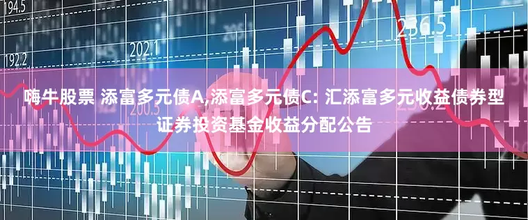 嗨牛股票 添富多元债A,添富多元债C: 汇添富多元收益债券型证券投资基金收益分配公告