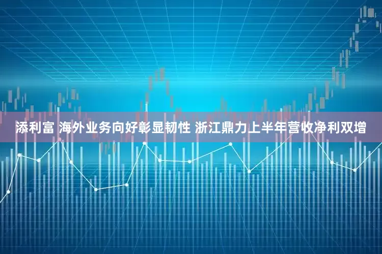 添利富 海外业务向好彰显韧性 浙江鼎力上半年营收净利双增