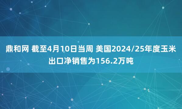 鼎和网 截至4月10日当周 美国2024/25年度玉米出口净销售为156.2万吨