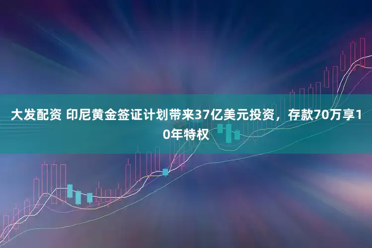 大发配资 印尼黄金签证计划带来37亿美元投资，存款70万享10年特权