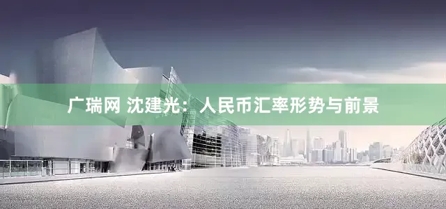 广瑞网 沈建光：人民币汇率形势与前景
